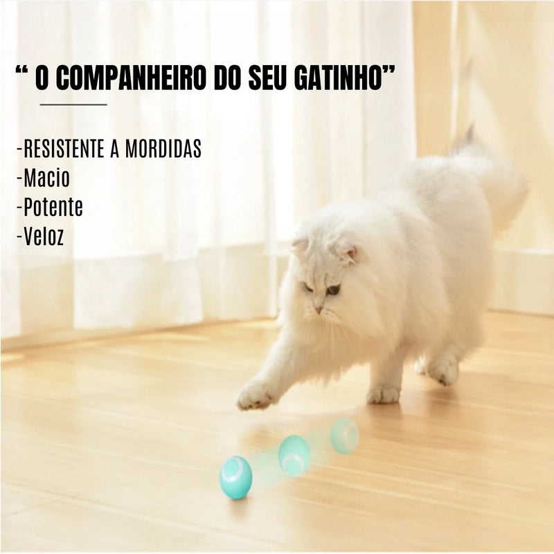 Bola Magica para gatos