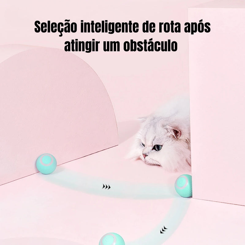 Bola Magica para gatos